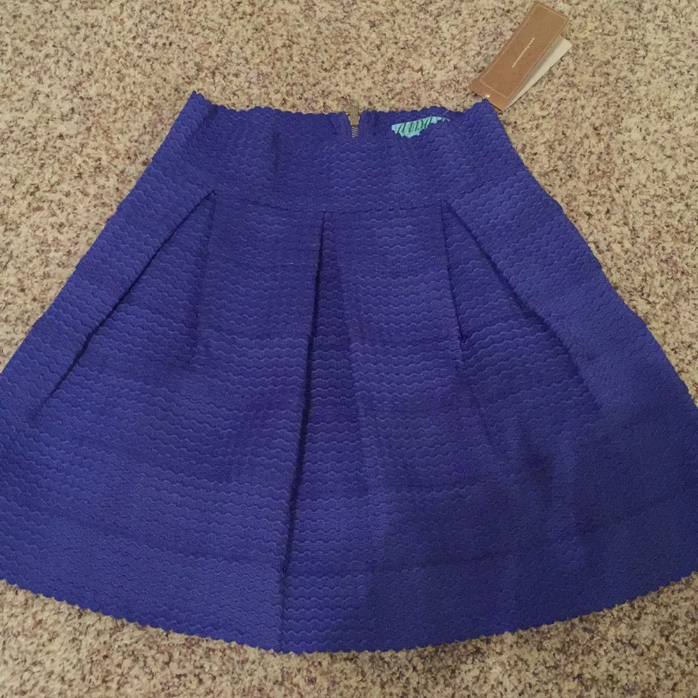 Francesca’s blue/indigo high waisted skirt